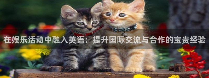 one游戏平台官网入口：在娱乐活动中融入英语：提升国际交流与合作的宝贵经验