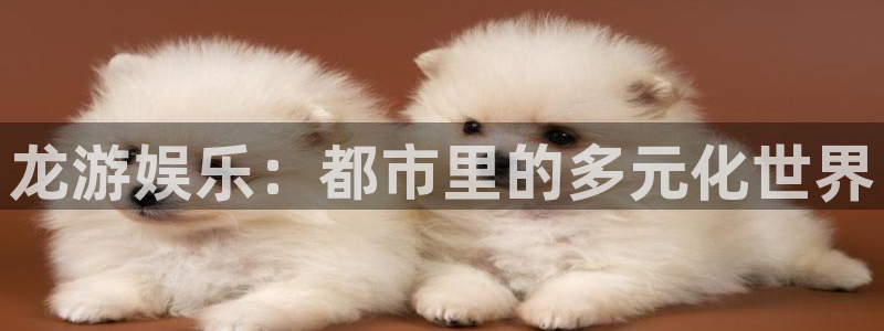 one游戏网站：龙游娱乐：都市里的多元化世界