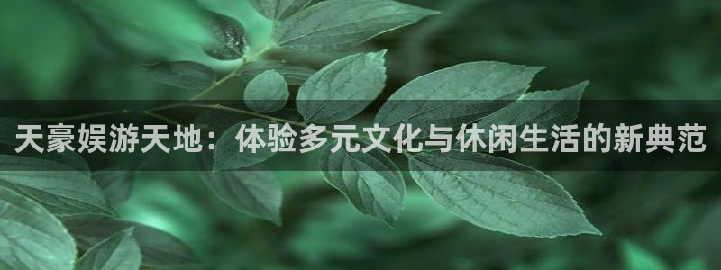 one游戏官网：天豪娱游天地：体验多元文化与休闲生活的新典范