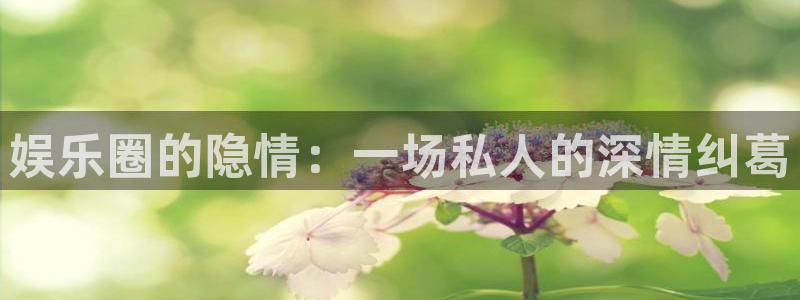 one游戏体育平台：娱乐圈的隐情：一场私人的深情纠葛