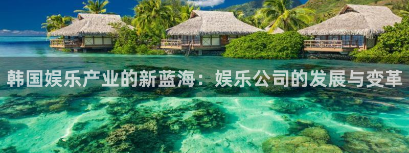 one游戏官网：韩国娱乐产业的新蓝海：娱乐公司的发展与变革